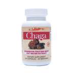 Eidon Bio organic huba Chaga extrakt 60 kapsúl