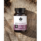 Puhdistamo Earth Chaga BIO 60 kapsúl