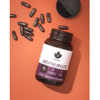 Puhdistamo Earth Chaga BIO 60 kapsúl