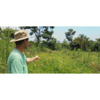 terra etica Bio esenciálny olej sladký pomaranč, 10 ml