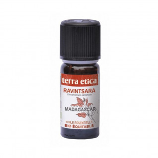 terra etica Bio esenciálny olej Ravintsara z Madagaskaru, 10 ml