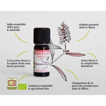 terra etica Bio esenciálny olej Niaouli z Madagaskaru, 10 ml