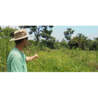 terra etica Bio esenciálny olej sladký pomaranč, 10 ml